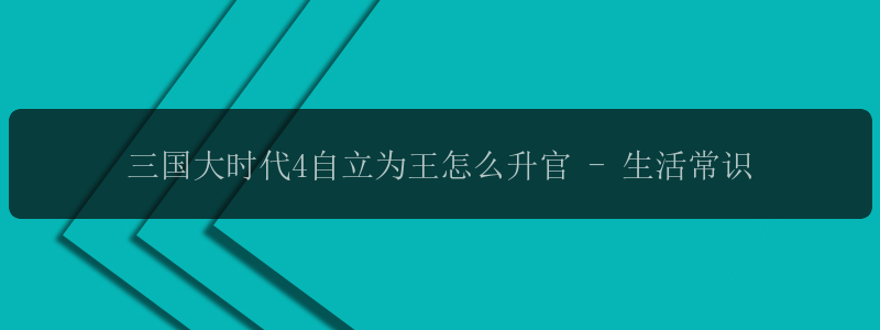 三国大时代4自立为王怎么升官 - 生活常识