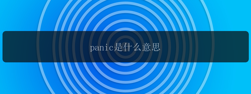 panic是什么意思