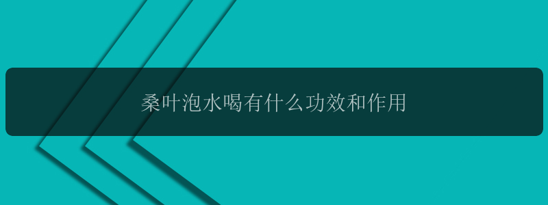 桑叶泡水喝有什么功效和作用