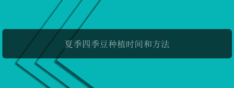 夏季四季豆种植时间和方法