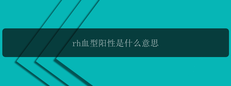 rh血型阳性是什么意思