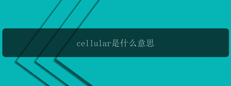 cellular是什么意思