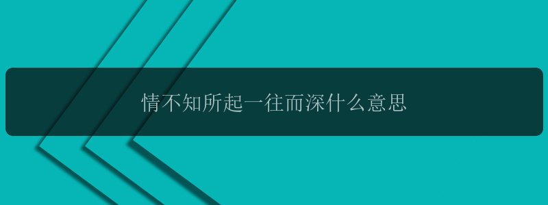 情不知所起一往而深什么意思