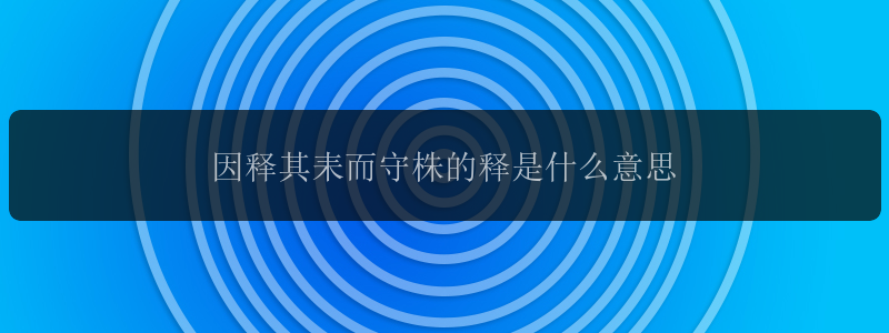 因释其耒而守株的释是什么意思