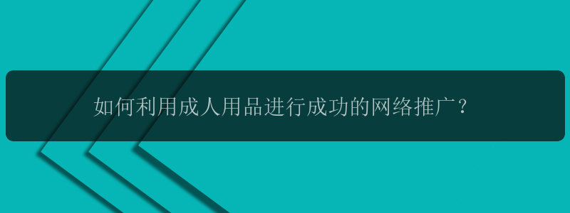 如何利用成人用品进行成功的网络推广？