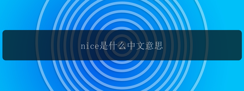 nice是什么中文意思