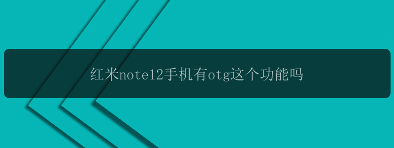 红米note12手机有otg这个功能吗