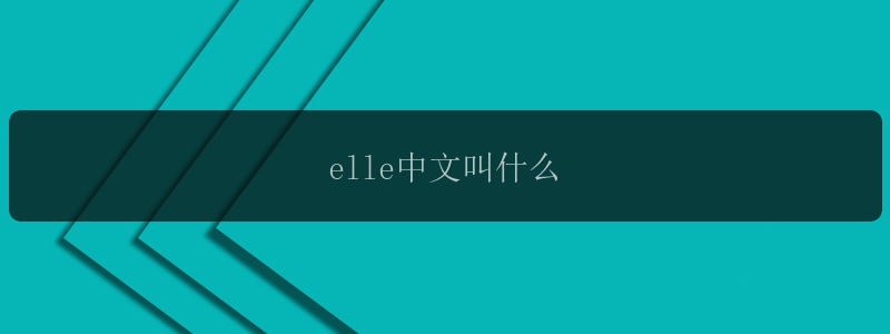 elle中文叫什么