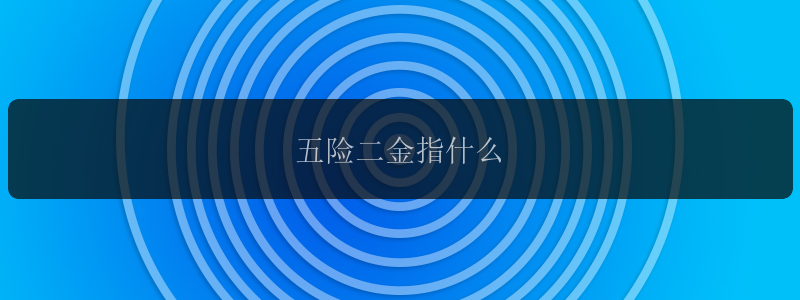 五险二金指什么