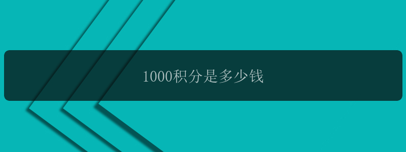 1000积分是多少钱