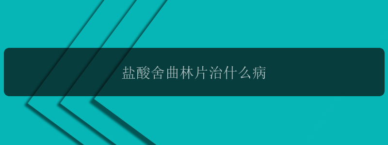 盐酸舍曲林片治什么病