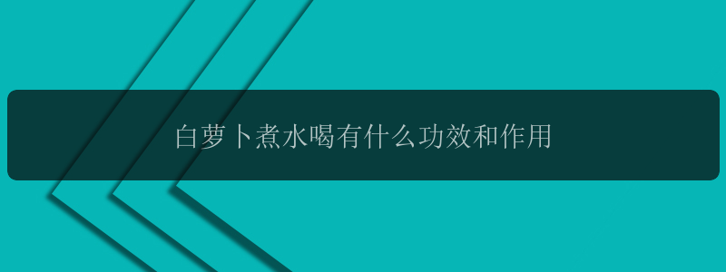 白萝卜煮水喝有什么功效和作用