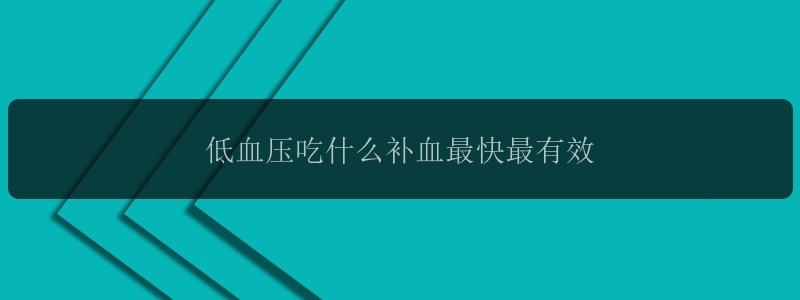 低血压吃什么补血最快最有效