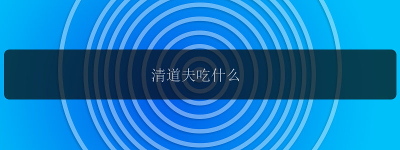 清道夫吃什么