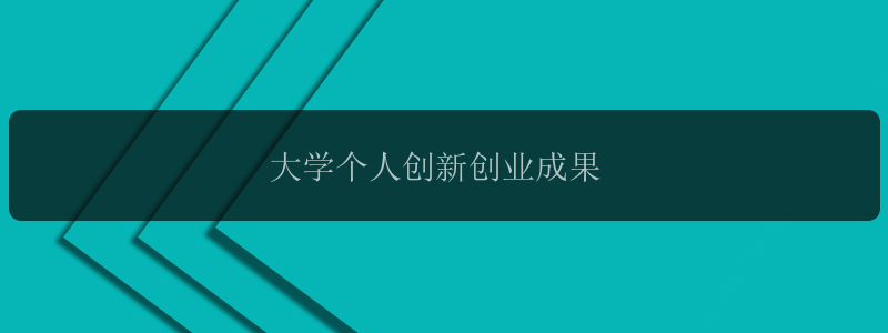 大学个人创新创业成果