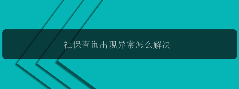 社保查询出现异常怎么解决