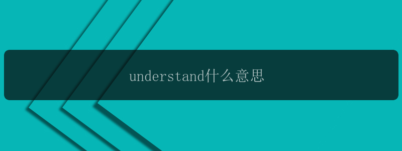 understand什么意思