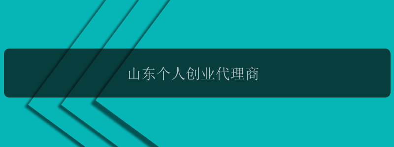 山东个人创业代理商