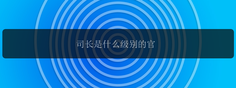 司长是什么级别的官