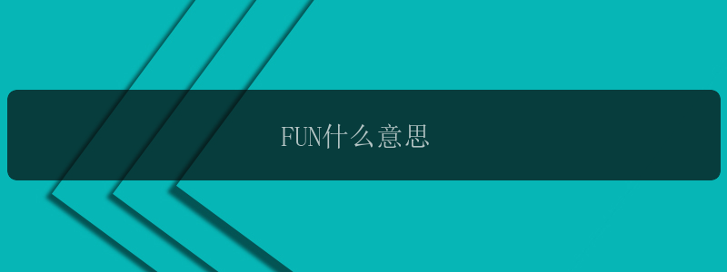 FUN什么意思