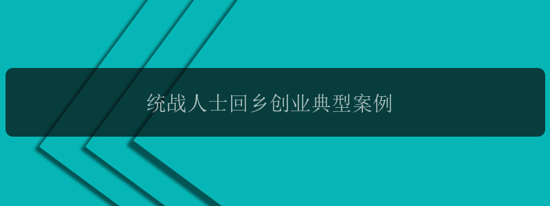 统战人士回乡创业典型案例