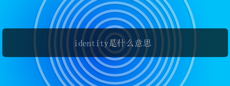 identity是什么意思