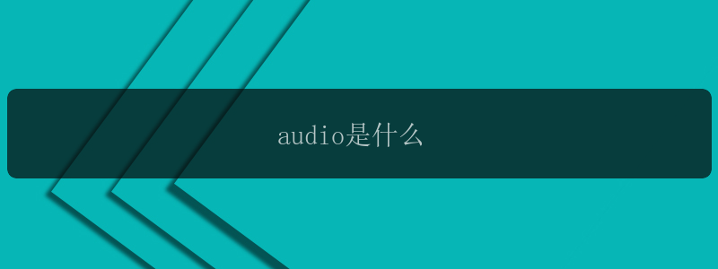 audio是什么