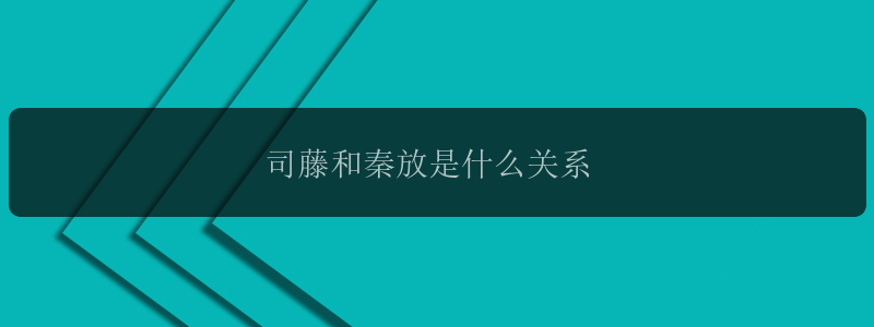 司藤和秦放是什么关系