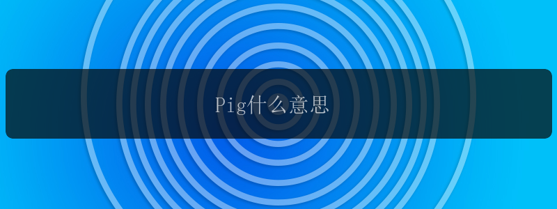 Pig什么意思