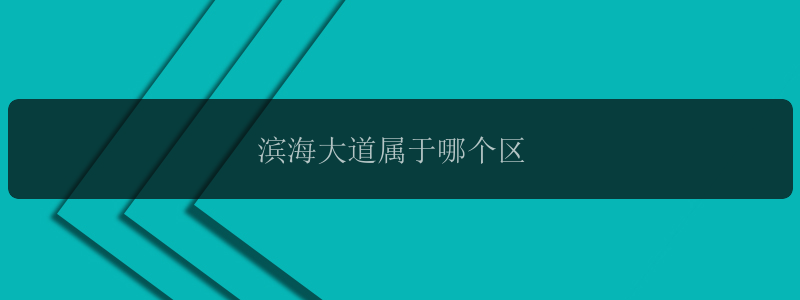 滨海大道属于哪个区