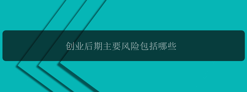 创业后期主要风险包括哪些