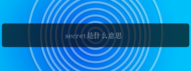 secret是什么意思