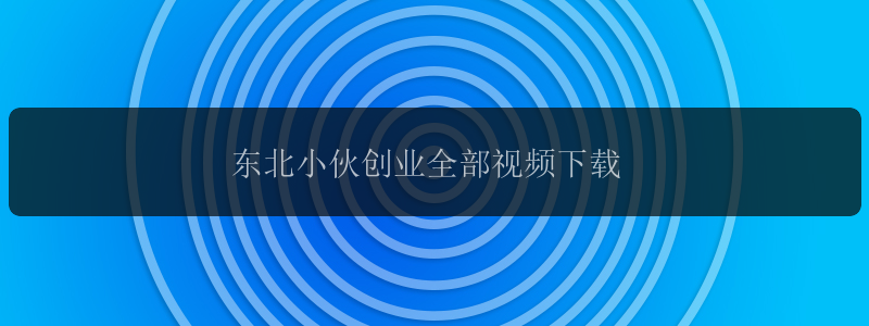 东北小伙创业全部视频下载