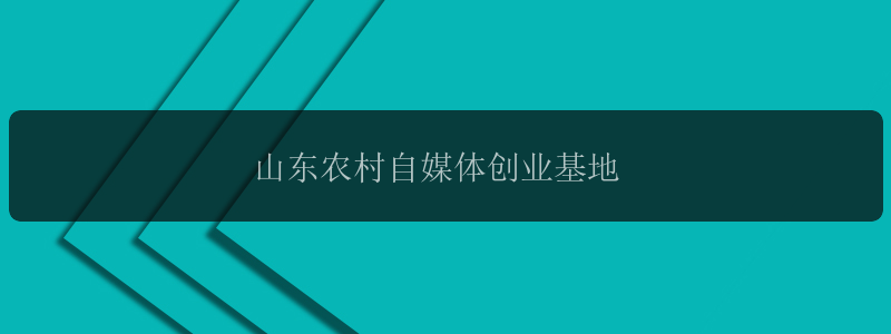 山东农村自媒体创业基地