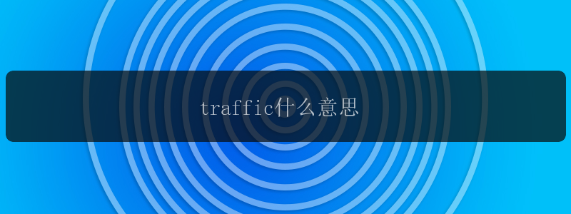 traffic什么意思