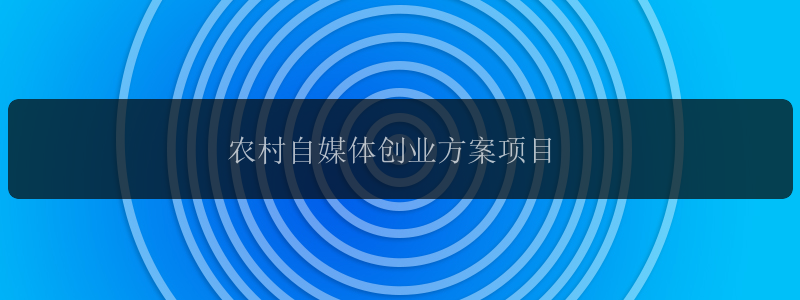 农村自媒体创业方案项目