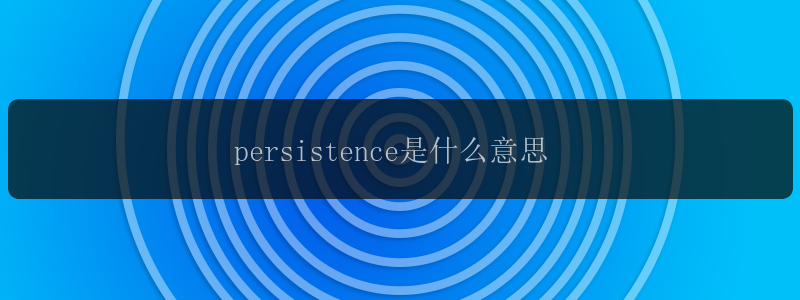 persistence是什么意思