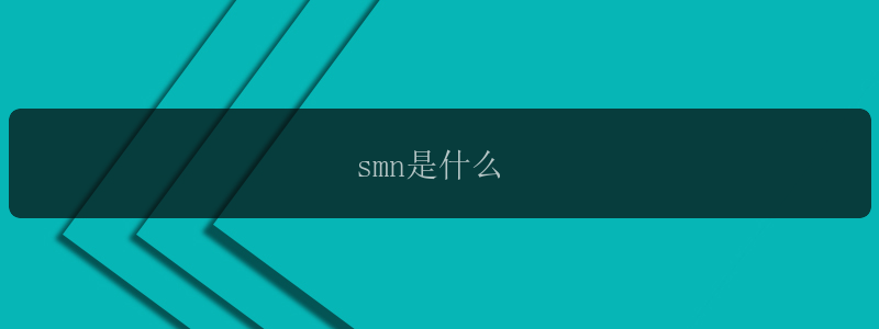 smn是什么