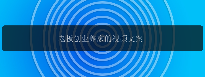 老板创业养家的视频文案