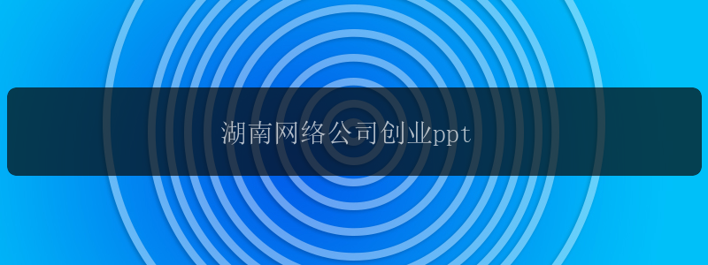 湖南网络公司创业ppt