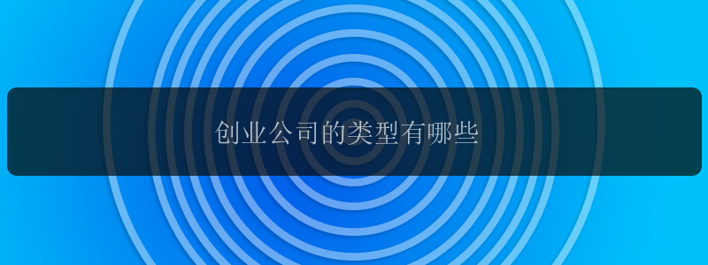 创业公司的类型有哪些