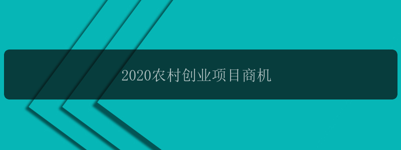 2020农村创业项目商机