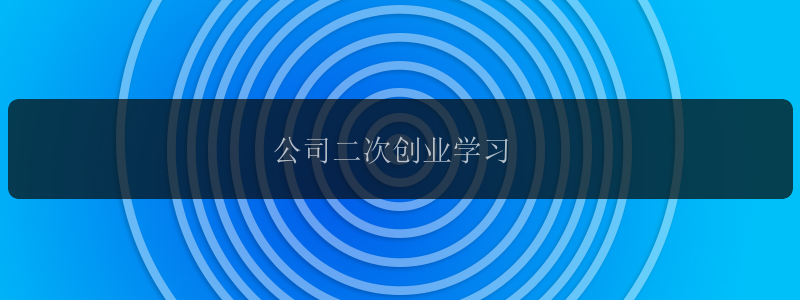 公司二次创业学习