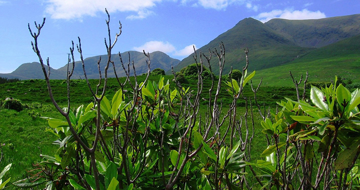 高手写对联100副，（通用2篇）(图1)