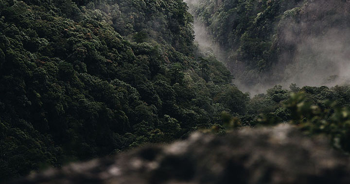 陶弘景读音，（通用2篇）(图3)